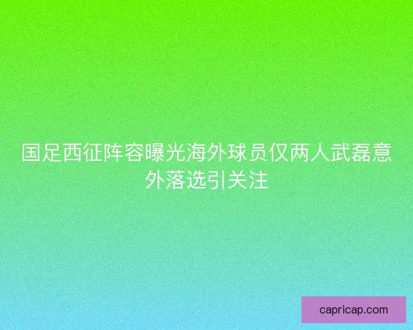 国足西征阵容曝光海外球员仅两人武磊意外落选引关注
